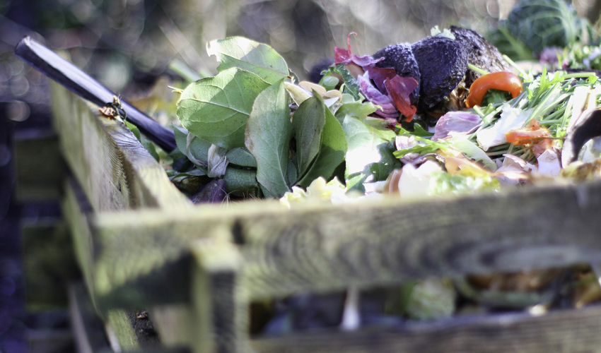 Pas De Distribution De Compost En Dechetterie Comment Realiser Votre Compost Smdo